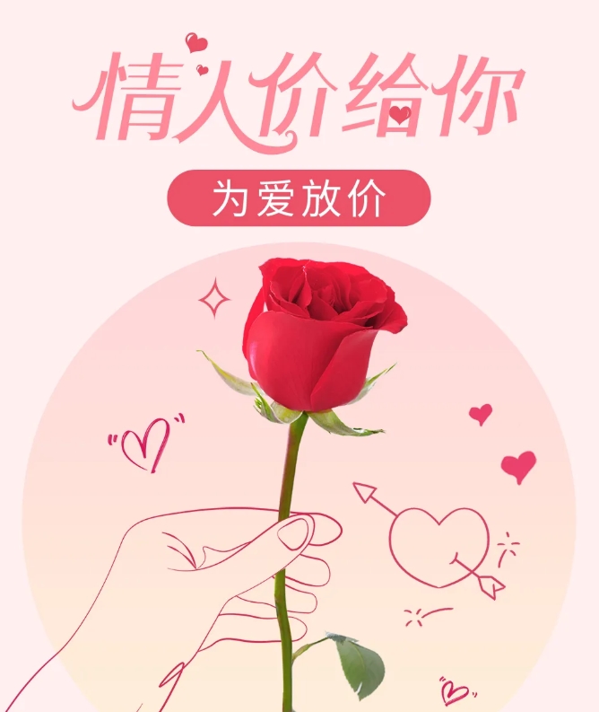 520~有情人~价给你
